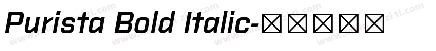 Purista Bold Italic字体转换